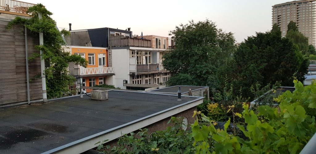 View from house