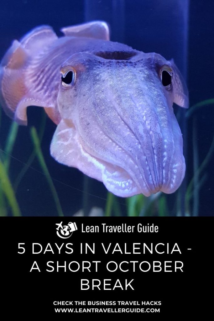 5 Days in Valencia - Pinterest